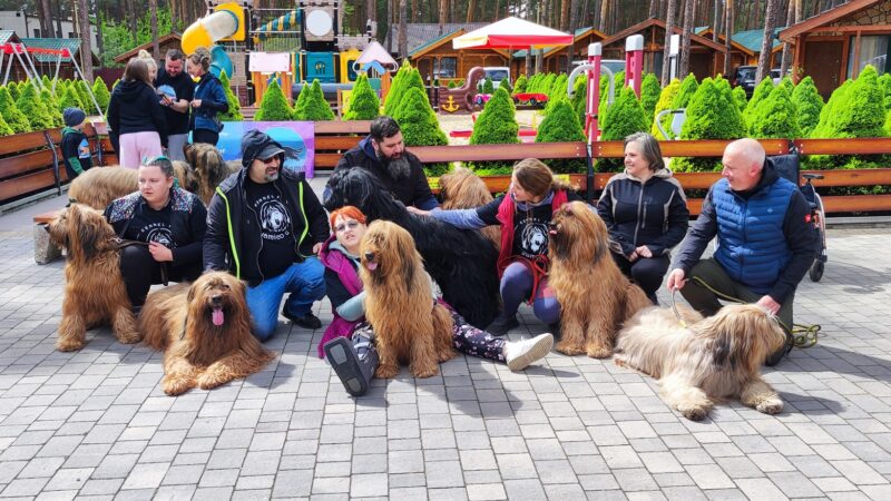 Bryamico d'oro na Briard Camp'25