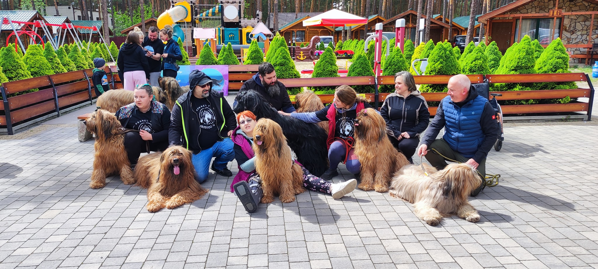 Bryamico d'oro na Briard Camp'25